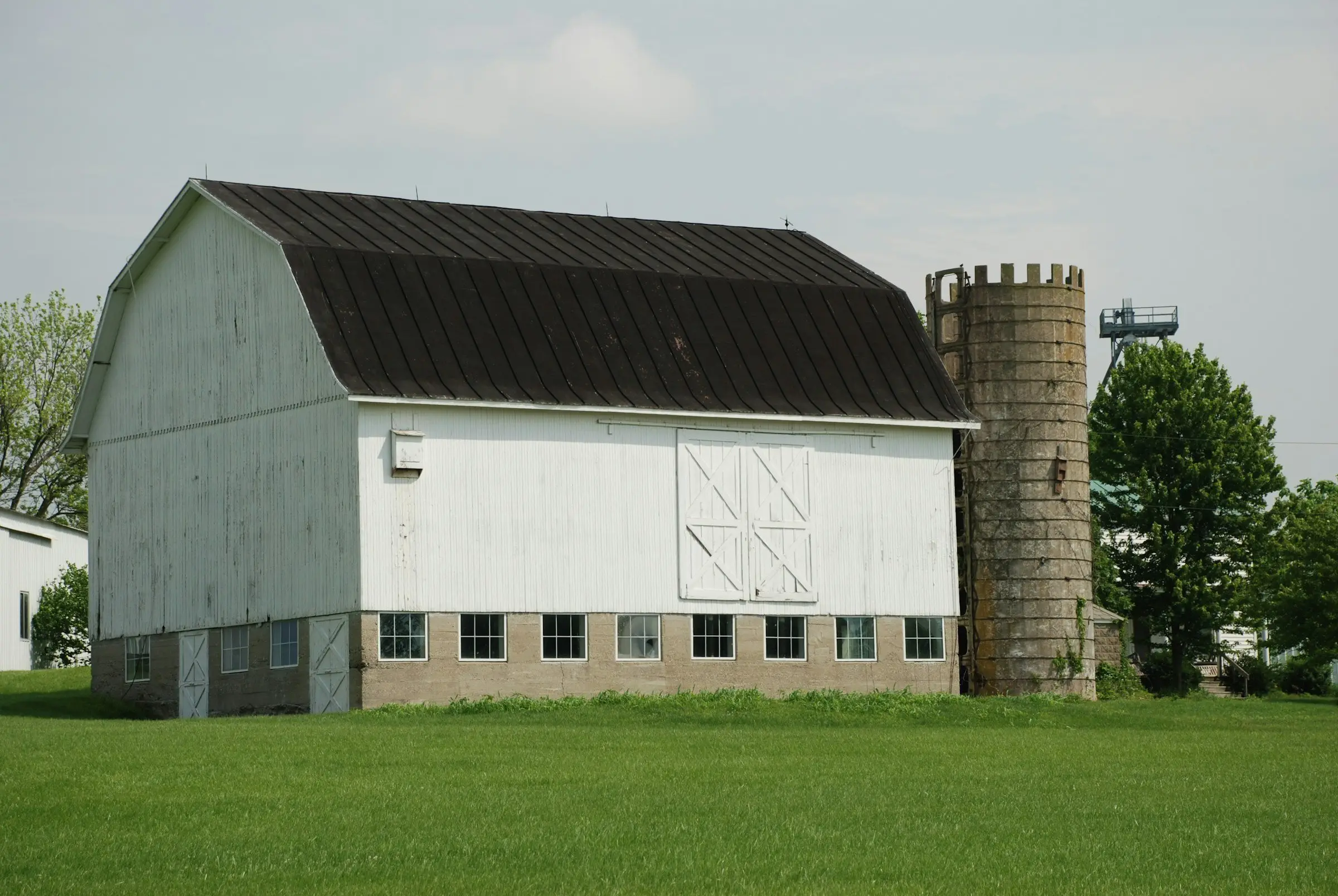 A white gambrel-roofed bank barn with a stave silo, under an overcast sky.